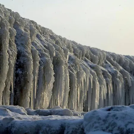 Wauzi 5 - Zentral Und Wenige Minuten Zum