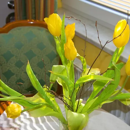 Wauzi 5 - Zentral Und Wenige Minuten Zum 公寓 巴贝